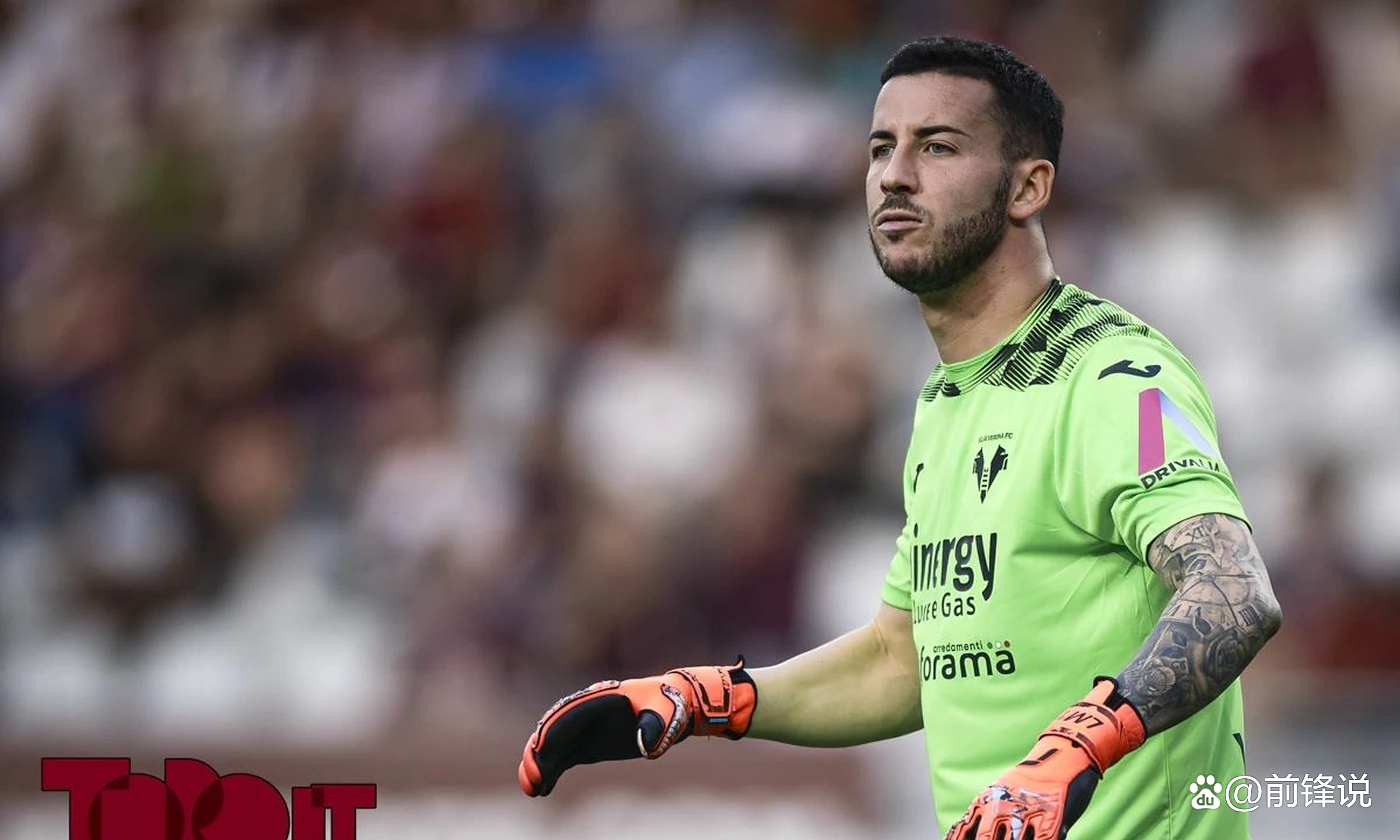 维罗纳主场逼平都灵,遭遇主场七轮不胜的简单介绍 维罗纳主场逼平都灵,遭遇主场七轮不胜的简单介绍